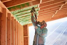 Eco-Friendly or Green Insulation Solutions in Shenandoah, TX